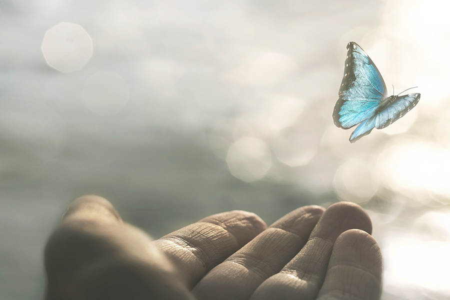 Grief is the price we pay for love - The Greenhouse Therapy Rooms in Chiswick, W4